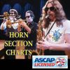 25 or 6 to 4 5 piece horn section feature (Chicago)